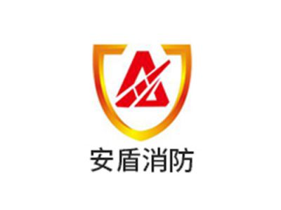 廣東安盾消防技術(shù)服務(wù)有限公司
